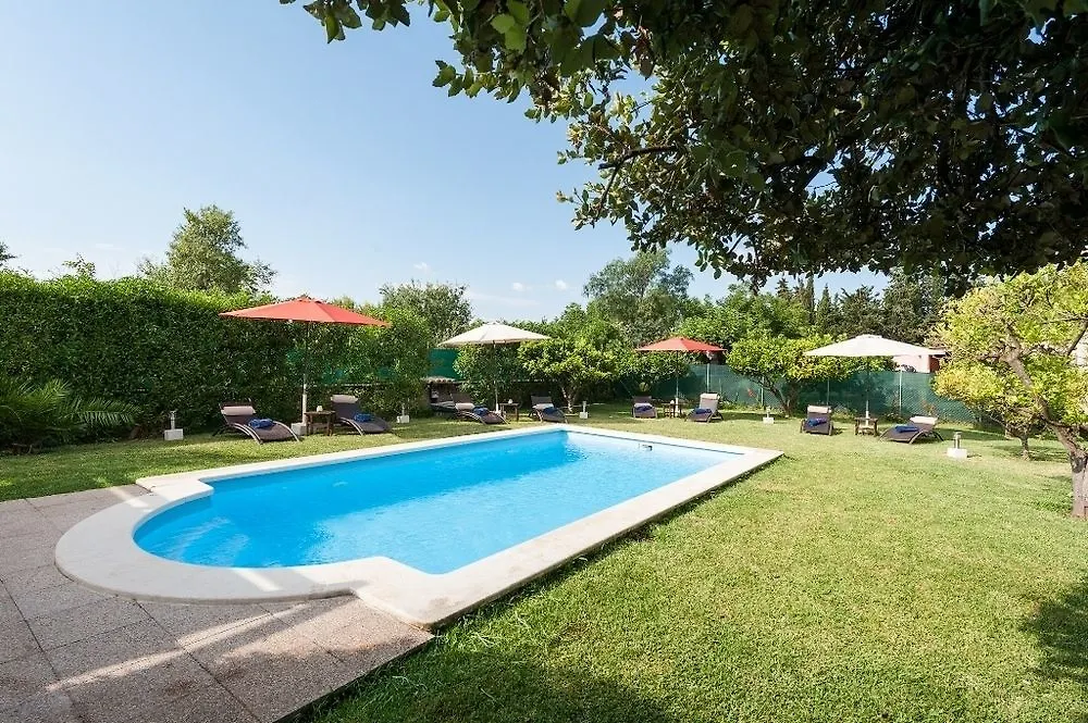 Alegre Villa Lloseta